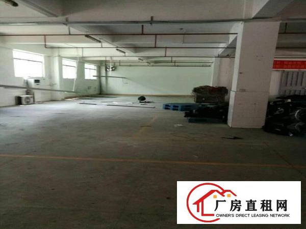 
		深圳平湖好招工独门独院厂房出租4000平
	