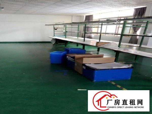 
		平湖鹅公岭主干道新出一楼210平楼上237平，470平厂房租
	