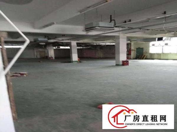 
		平湖白泥坑附近300平方带冷库精装修食品贸易厂房出租
	