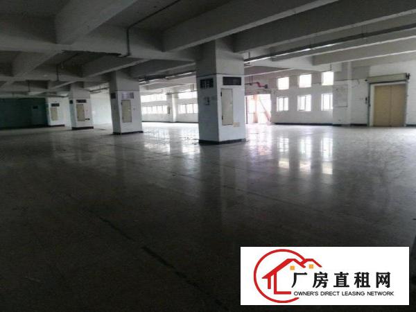 
		平湖富民工业区主干道旁厂房一楼700平米
	