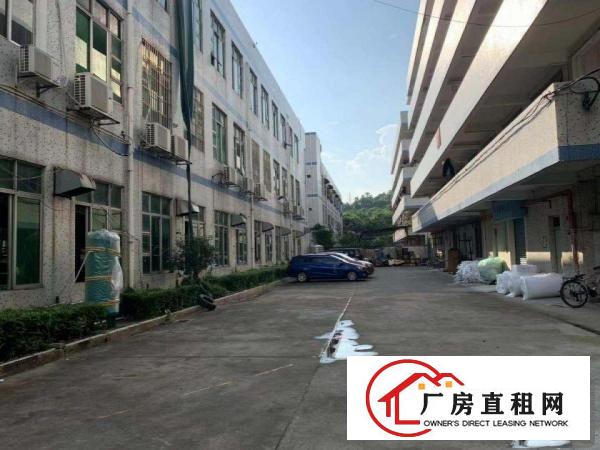 
		平湖富民工业区独院厂房三楼580平米
	