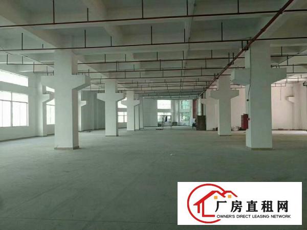 
		平湖原房东带红本厂房二楼1200平米急租可分租
	