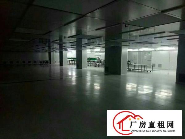 
		平湖原房东带红本厂房二楼1200平米急租可分租
	