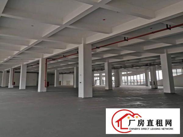 
		平湖新木路一楼1500对外急租交通方便形象好
	