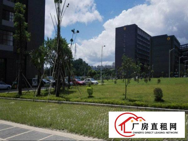 
		布吉，平湖大量厂房出租
	