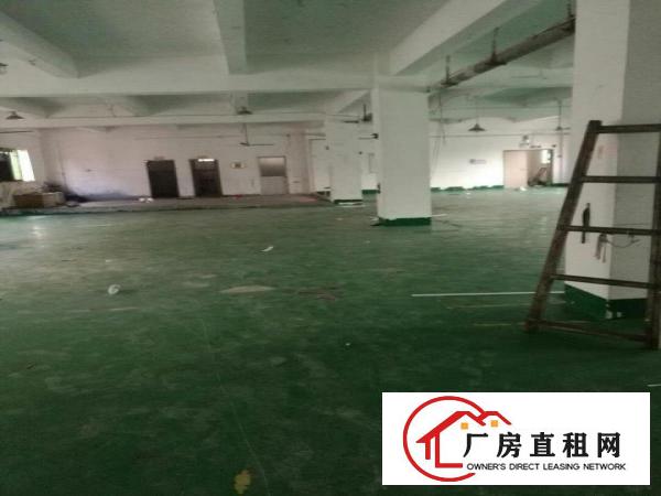 
		新木工业园独院厂房分租二楼650平米
	
