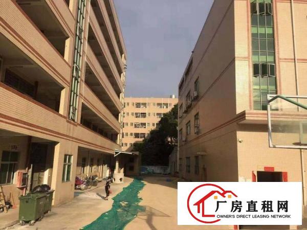 
		平湖富民工业区二楼带装修1500平方厂房出租
	