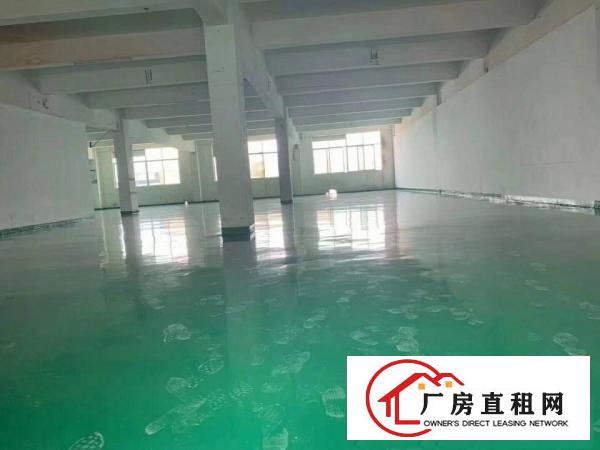 
		平湖平龙东路一楼1400平对外急租交通方便
	