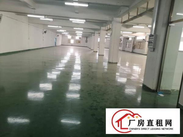 
		平湖华南城附近原房东一二楼3200平厂房出租，带红本可办环评
	