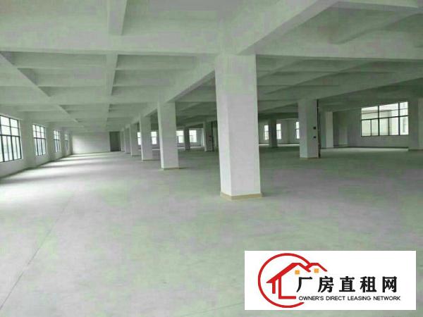 
		平湖辅城坳三楼1300平对外急租形象好
	