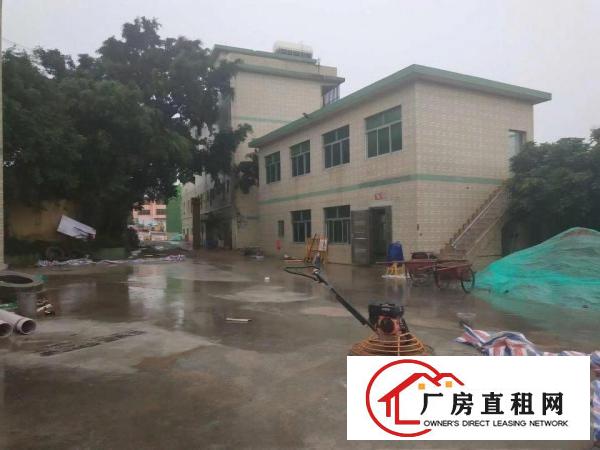 
		平湖白泥坑海吉星附近一楼900平带冻库厂房急租
	
