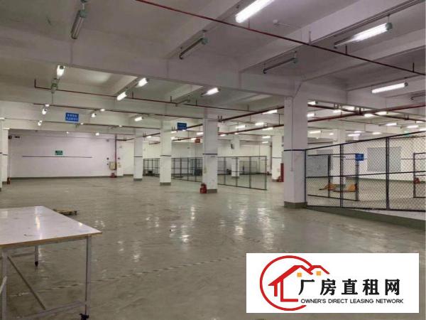 
		平湖新出原房东独门独院厂房6000平，业主急租
	