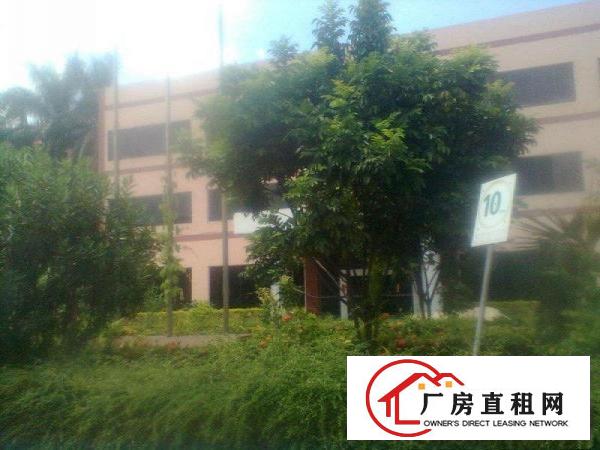 
		平湖独院高品质环境好3800平米厂房配有电梯写字楼
	