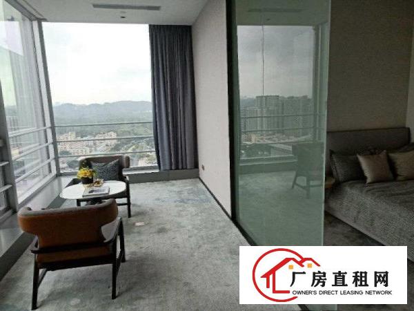 
		平湖华南城旁地铁口带装修家具办公室出租3吨货梯卸货平台
	
