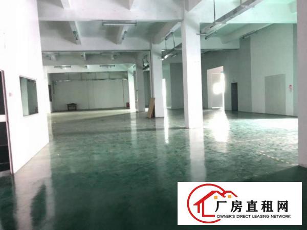 
		平湖新出原房东独院厂房一楼整层1200平方，带现成装修招租
	