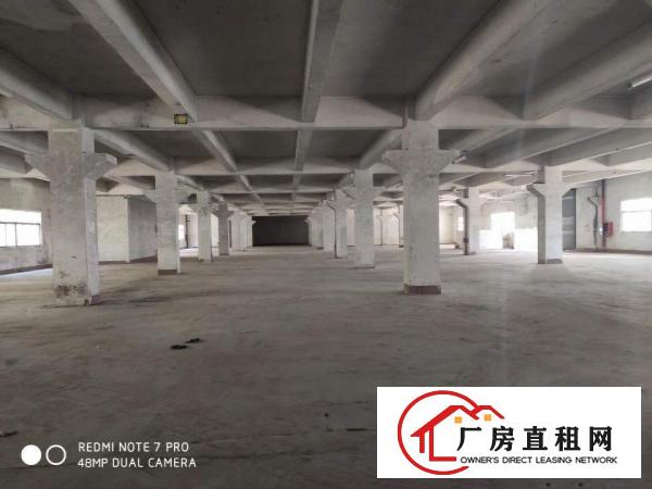 
		平湖新出独院厂房12000平方，合同久！
	