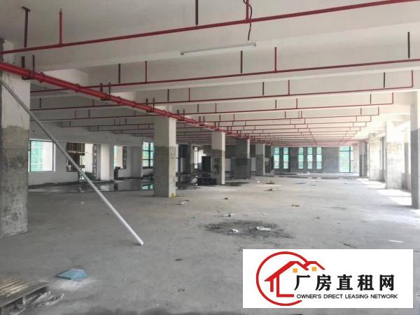 
		平湖原业主厂房一楼1500平方出租，急急急
	