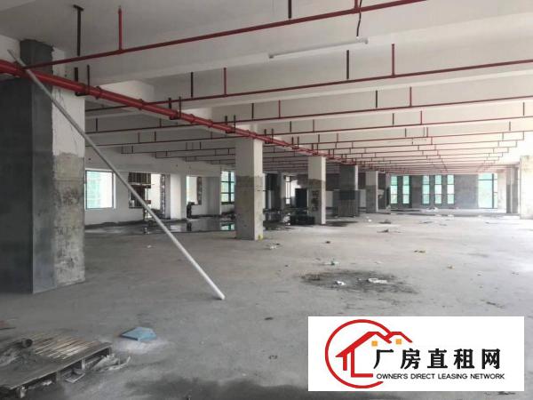 
		平湖原业主厂房一楼1500平方出租，急急急
	