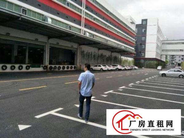 
		平湖原房东红本标准5.5米高一楼3500平方招租
	