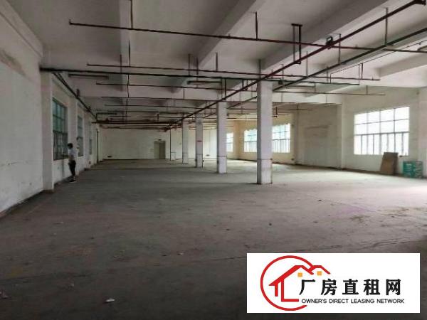 
		平湖华南城附近新出一楼1260平方带消防喷淋厂房招租
	