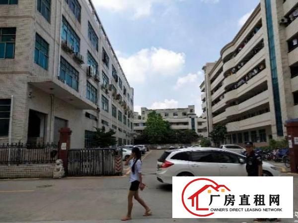
		平湖华南城附近新出一楼1260平方带消防喷淋厂房招租
	