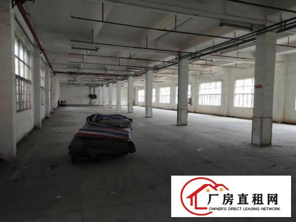 
		平湖华南城附近新出一楼1260平方带消防喷淋厂房招租
	