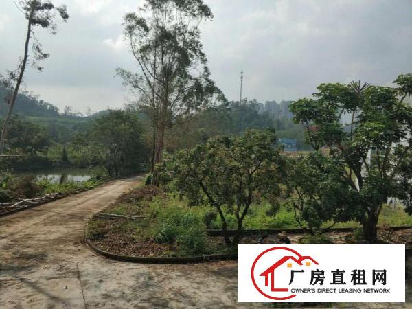 
		花园厂房，世外桃源，独门独院7380平，空地1万平.
	