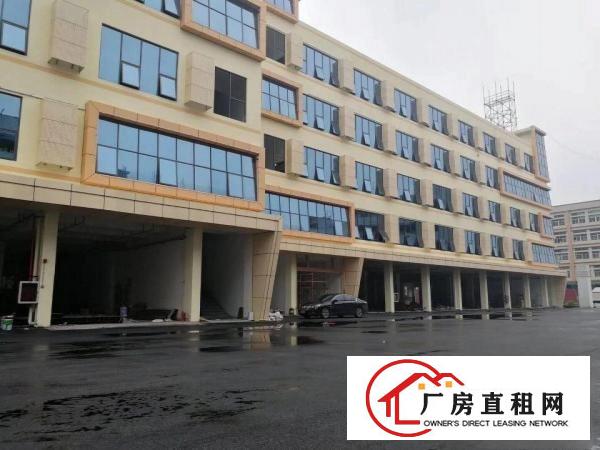 
		丹竹头地铁站电商园25平100平300平500平米。
	