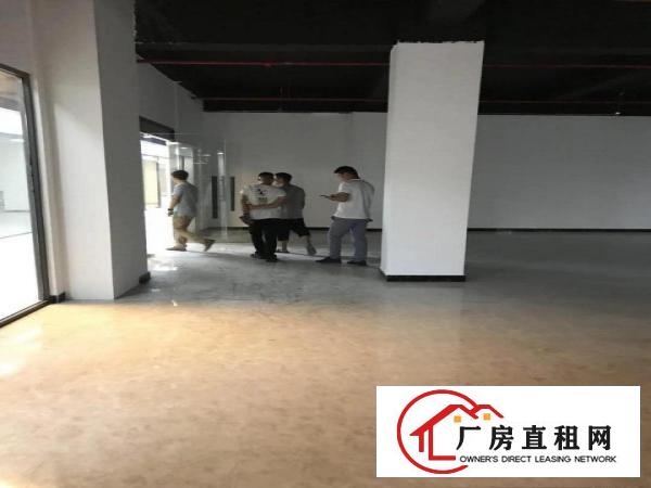 
		丹竹头地铁站电商园25平100平300平500平米。
	