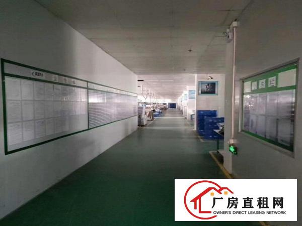 
		布吉木棉湾独院厂房出租7100平米现成装修可分租可办环保
	