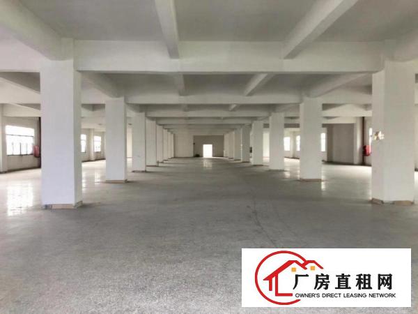 
		布吉丹竹头地铁口彩光工业区280-540-1850平加工仓库
	