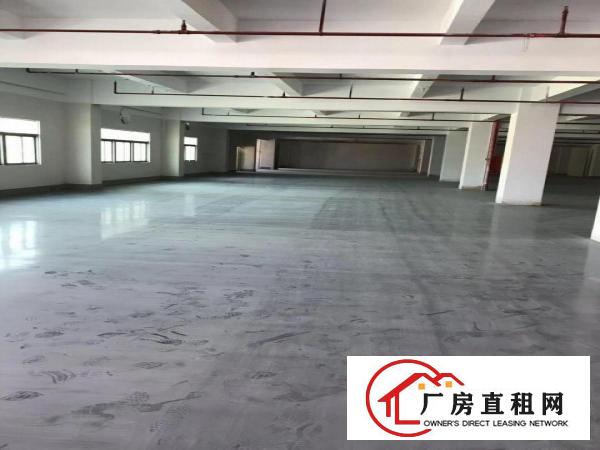 
		丹竹头物流园3000平米出租可分租带大平台，仓库快递物流五金
	