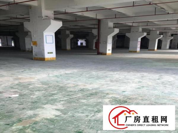 
		丹竹头物流园3000平米出租可分租带大平台，仓库快递物流五金
	