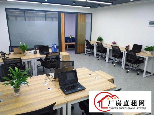 
		特价980起！龙岗布吉红本办公室出租，可看场地！
	