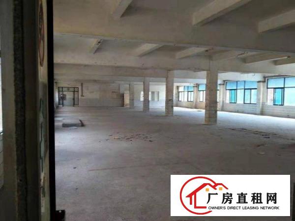 
		三联塘径工业园厂房4500平米（分租200平米起）
	