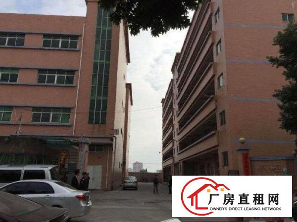 
		坪山碧岭大工业区新出三楼带装修450平起厂房招租
	