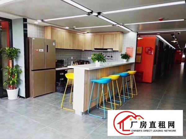 
		南岭创意园精装办公室，配备办公家私。六月底可入驻提前招租
	