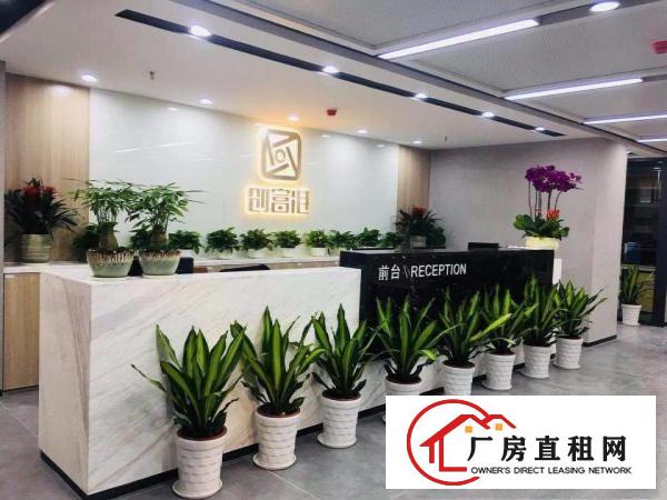 
		布吉众创空间出租，1 1格局靠窗，包水电费用带红本
	