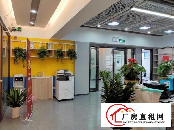 
		布吉众创空间出租，1 1格局靠窗，包水电费用带红本
	