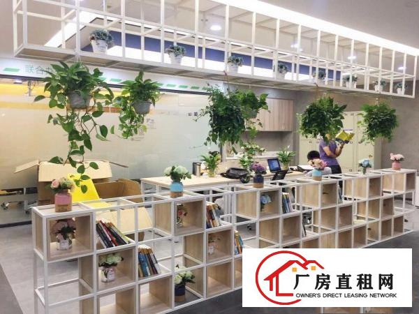 
		布吉1983创意小镇，50一150平办公室出租 带家私
	
