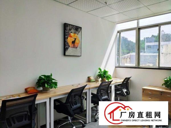 
		布吉精装办公室出租，家私网络全包
	