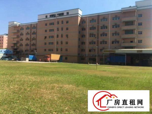 
		丹竹头工业区一楼300平500平厂房招租
	