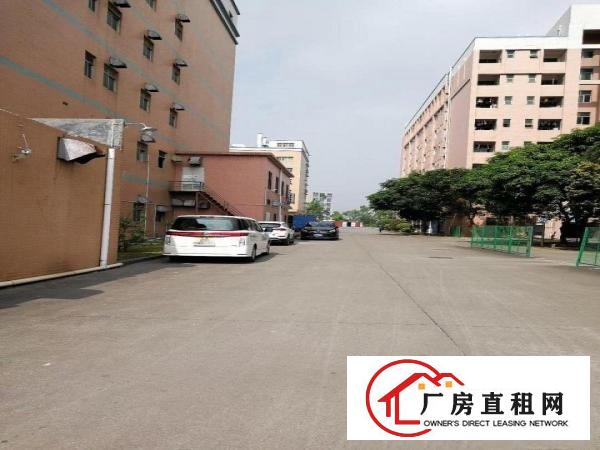 
		丹竹头工业区一楼300平500平厂房招租
	