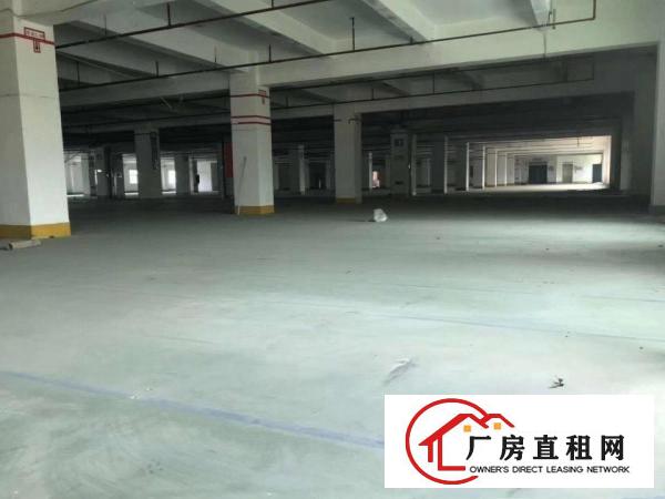 
		丹竹头工业区一楼300平500平厂房招租
	