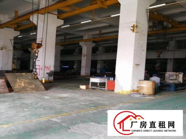 
		丹竹头工业区一楼300平500平厂房招租
	