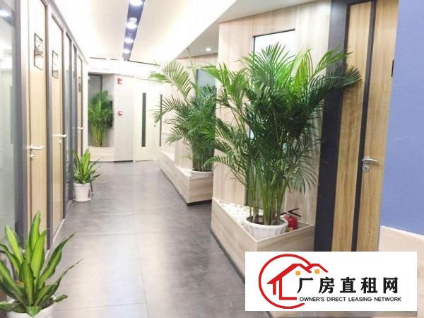 
		出租布吉百鸽笼写字楼招租，提供正规租赁红本【代收信函】
	