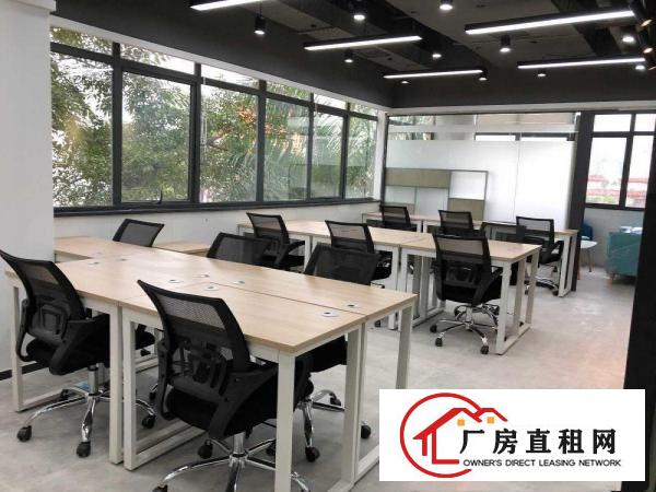 
		抢租！49块/平！布吉商务办公室出租，配套齐全
	