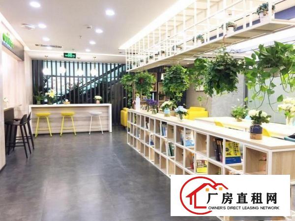 
		布吉200平办公室，方正户型带窗户，包水电费 红本
	