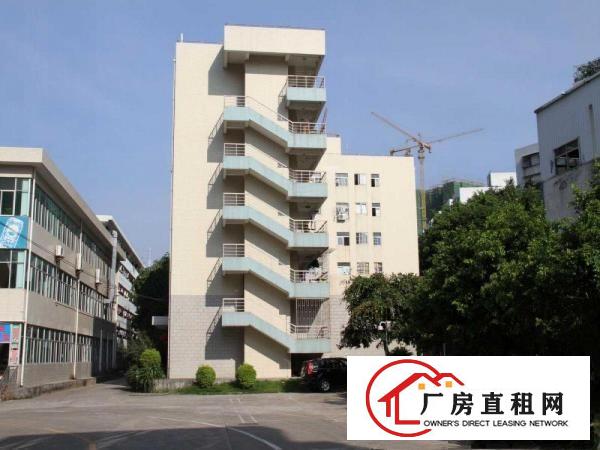 
		出租布吉南岭大芬百门前工业区一楼
	