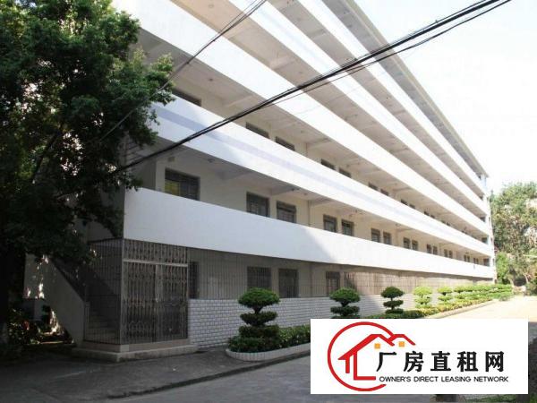 
		出租布吉南岭大芬百门前工业区一楼
	